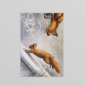 MUR BASTILLE #4 - NADÈGE DAUVERGNE - Ecureuils des villes