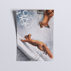 NADÈGE DAUVERGNE - Ecureuils des villes